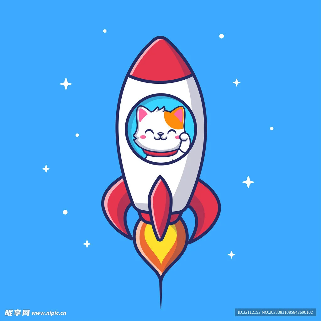 下载 小火箭VPN - 小火箭选哪个模式